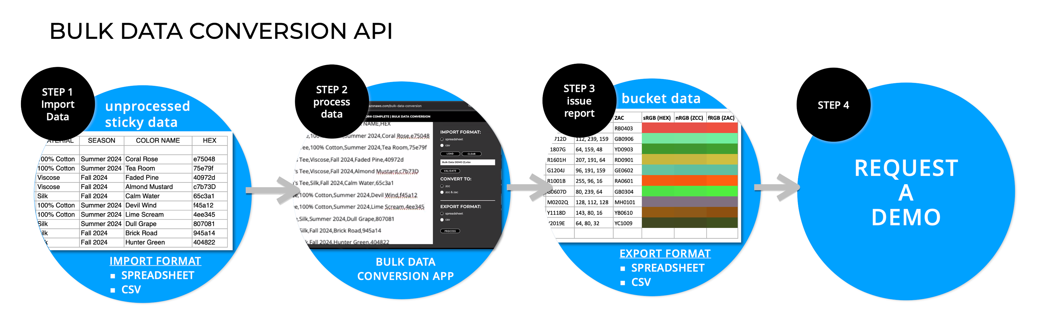 BULK DATA CONVERSION API
