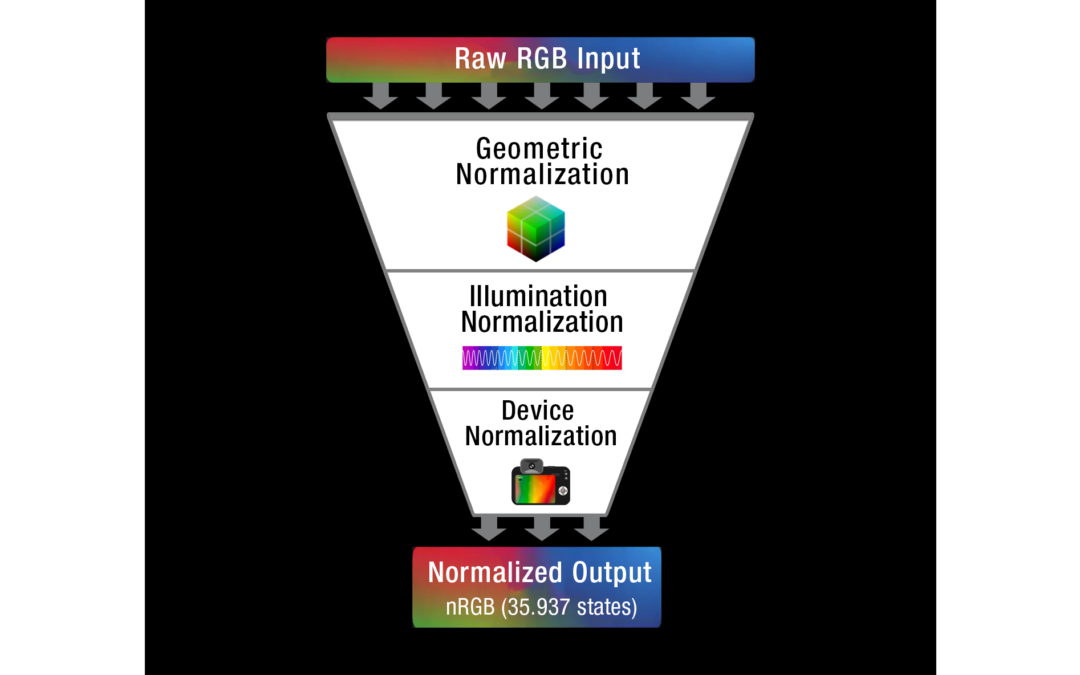 NORMALIZED COLOR CALIBRATION (NCC) – A universal workflow for deterministic color measurement across devices, illuminants, and geometries.