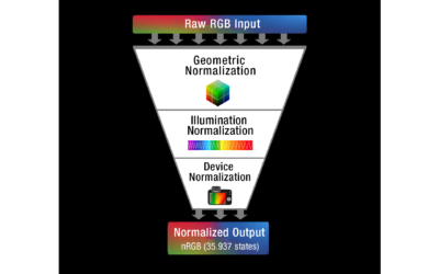 NORMALIZED COLOR CALIBRATION (NCC) – A universal workflow for deterministic color measurement across devices, illuminants, and geometries.